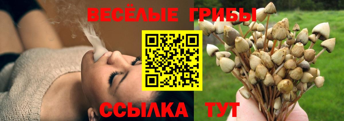 Псилоцибиновые грибы мицелий Великий Новгород