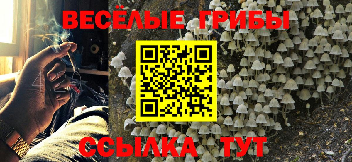 Великий Новгород  Псилоцибиновые грибы прущие грибы  Вход с VPN 